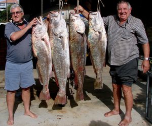 Andries se 28.8kg Kabeljou